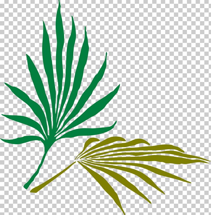 Palm Branch Frond Arecaceae PNG, Clipart, Arecales, Branch, Computer Icons, Desktop Wallpaper, Fern Free PNG Download