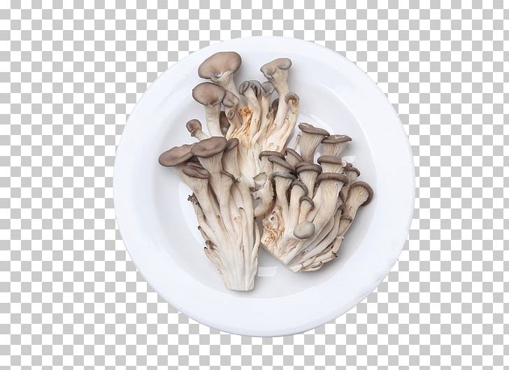 Bokkeum Mushroom Shiitake Ingredient PNG, Clipart, Bokkeum, Clams Oysters Mussels And Scallops, Cuisine, Dish, Euclidean Vector Free PNG Download