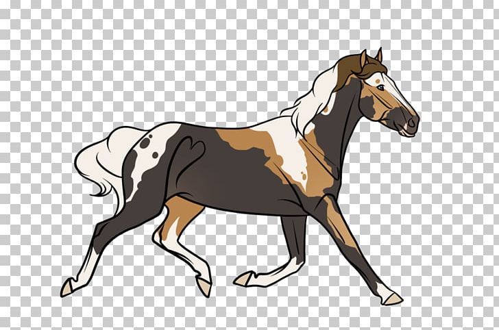 Mustang Foal Stallion Pony Bridle PNG, Clipart, Bridle, Colt, English Riding, Equestrian Sport, Foal Free PNG Download