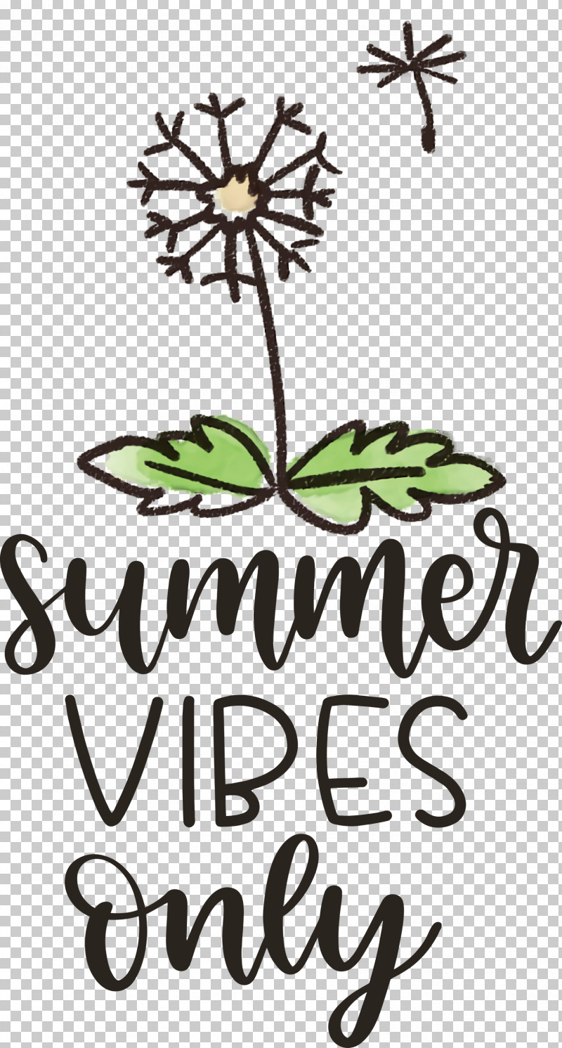 Summer Vibes Only Summer PNG, Clipart, Cut Flowers, Flora, Floral Design, Flower, Leaf Free PNG Download
