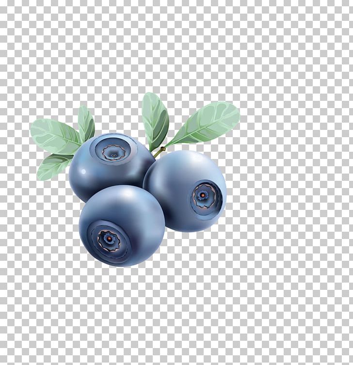 Blueberry Euclidean Food Illustration PNG, Clipart, Arbutin, Berry, Bilberry, Encapsulated Postscript, Food Drinks Free PNG Download