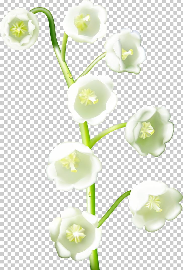 Flower Realism PNG, Clipart, Color, Cut Flowers, Download, Drawing, Flower Free PNG Download