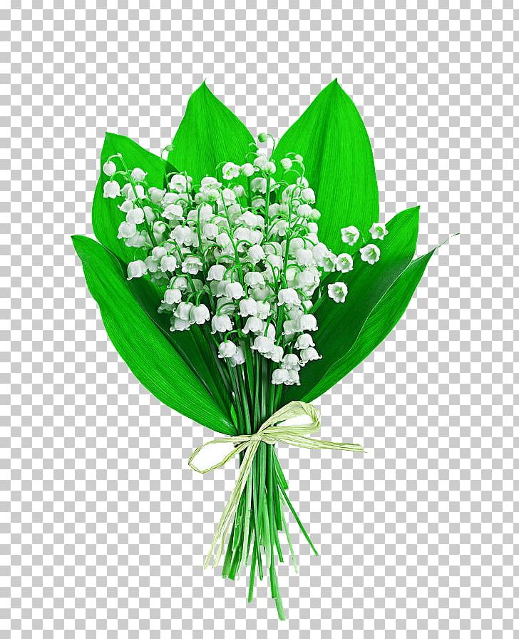 Lily Of The Valley Flower Bouquet Stock Photography Lilium PNG, Clipart, Bouquet, Bouquet Of Flowers, Bouquet Of Roses, Bulb, Can Stock Photo Free PNG Download