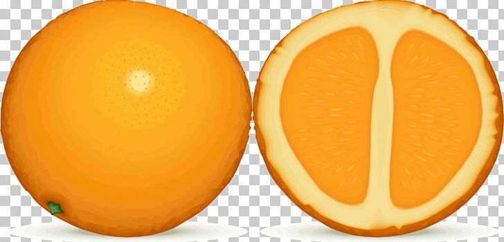 Orange Juice Lemon Fruit PNG, Clipart, Alphabet, Citrus, English, Food, Fruit Free PNG Download