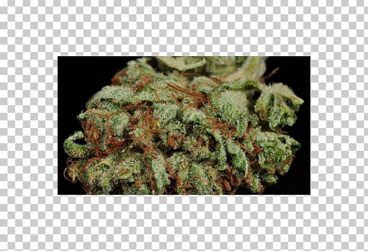 Seed Bank Cannabis Seed Company Skunk PNG, Clipart, Autoflowering Cannabis, Cannabis, Cannabis Sativa, Durban Poison, Genetics Free PNG Download