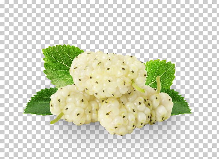 Organic Food White Mulberry Food Drying Extract PNG, Clipart, Berry, Black Mulberry, Dried Fruit, Extract, Food Free PNG Download