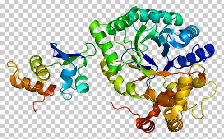 Voltage-gated Potassium Channel KCNAB2 Protein Structure PNG, Clipart, Cntnap2, Gate, Gene, Kcnab2, Kcnip1 Free PNG Download
