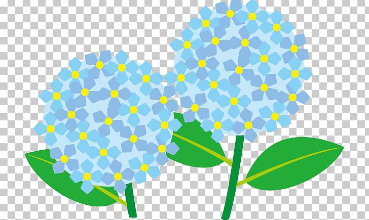 French Hydrangea Panicled Hydrangea Oakleaf Hydrangea Hydrangea Petiolaris PNG, Clipart, Circle, Flower, Flowering Plant, French Hydrangea, Hydrangea Free PNG Download