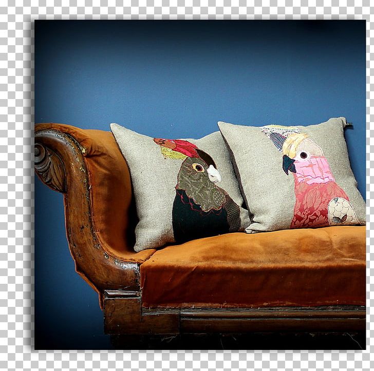 Cushion Cat Pillow Couch Pet PNG, Clipart, Ajax, Animals, Cacatua, Cat, Couch Free PNG Download