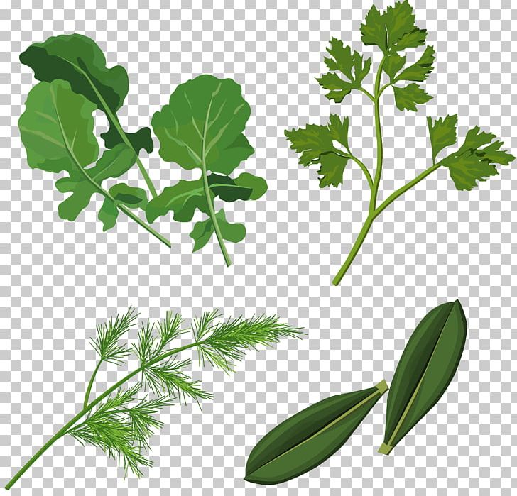 Herb PNG, Clipart, Basil, Branch, Clip Art, Food Drinks, Herb Free PNG Download