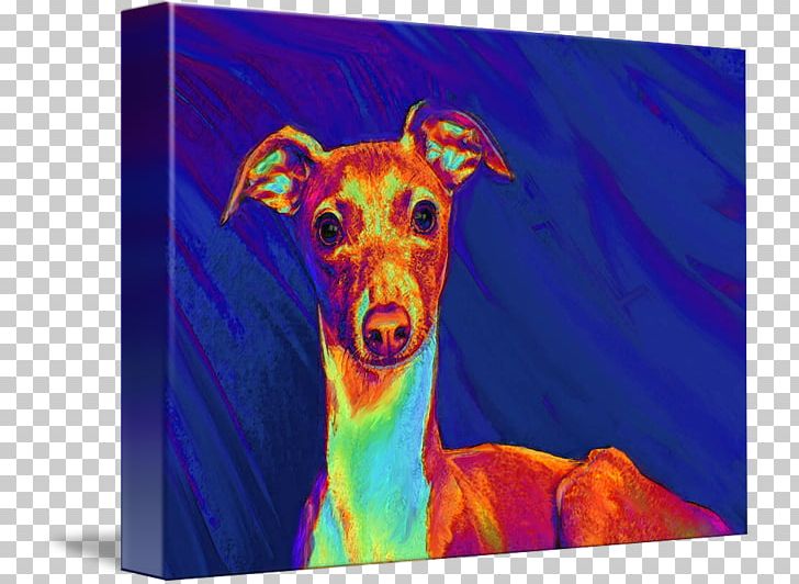Italian Greyhound Whippet Spanish Greyhound Sighthound PNG, Clipart, Acrylic Paint, Animal, Art, Carnivoran, Dog Free PNG Download