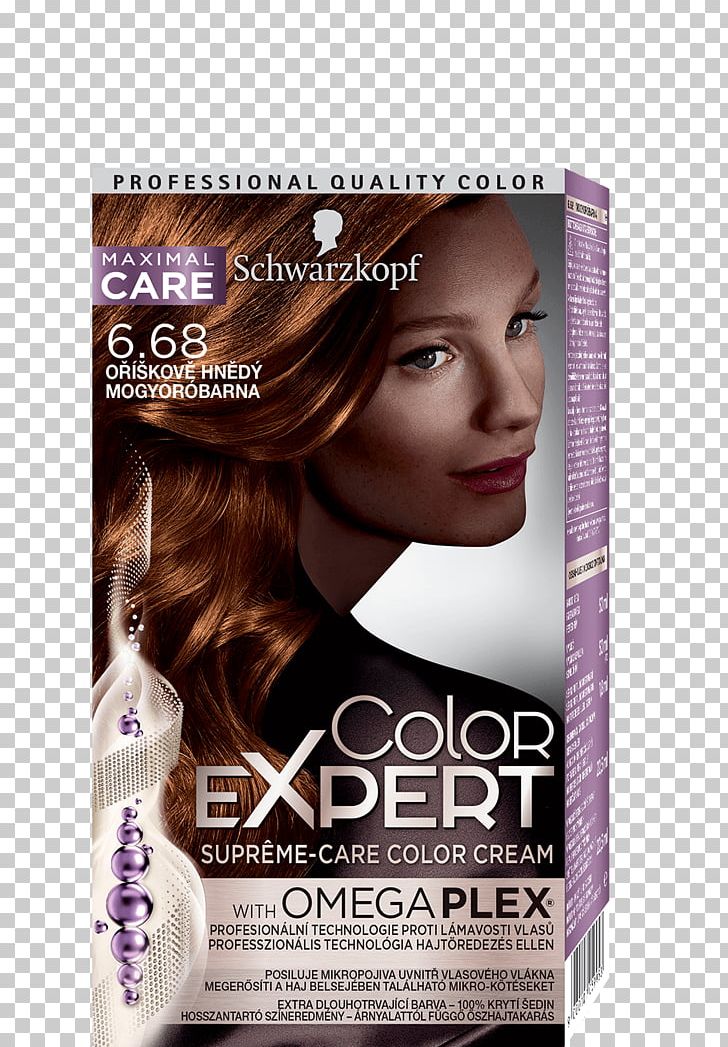 Schwarzkopf Hair Coloring Human Hair Color PNG, Clipart, Barva Na Vlasy, Blond, Brown Hair, Calendar, Capelli Free PNG Download