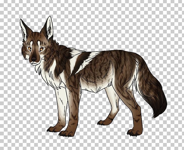 Cat Gray Wolf Coyote Red Fox Red Wolf PNG, Clipart, Animals, Big Cat, Big Cats, Born To Roof, Carnivoran Free PNG Download