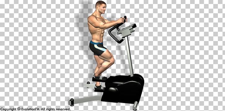 Elliptical Trainers Aerobic Exercise Physical Fitness Weight Training Fitness Centre PNG, Clipart, Abdomen, Aerobic Exercise, Arm, Calf, Elliptical Trainer Free PNG Download