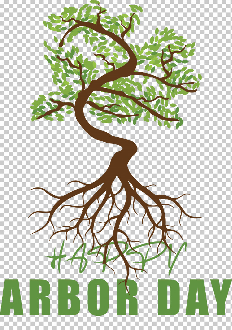 Tree Root Branch Mural Wall Mural PNG, Clipart, Branch, Leaf, Mural, Oak, Palms Free PNG Download