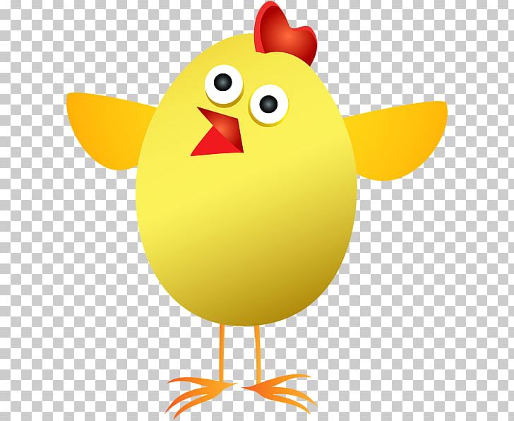 Chicken Easter Bunny Kifaranga PNG, Clipart, Animals, Beak, Bird, Blog, Chicken Free PNG Download
