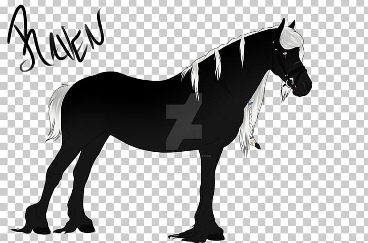 Mane Mustang Stallion Pony Mare PNG, Clipart, Bri, English Riding, Equestrian, Florida Kraze Krush Soccer Club, Halter Free PNG Download