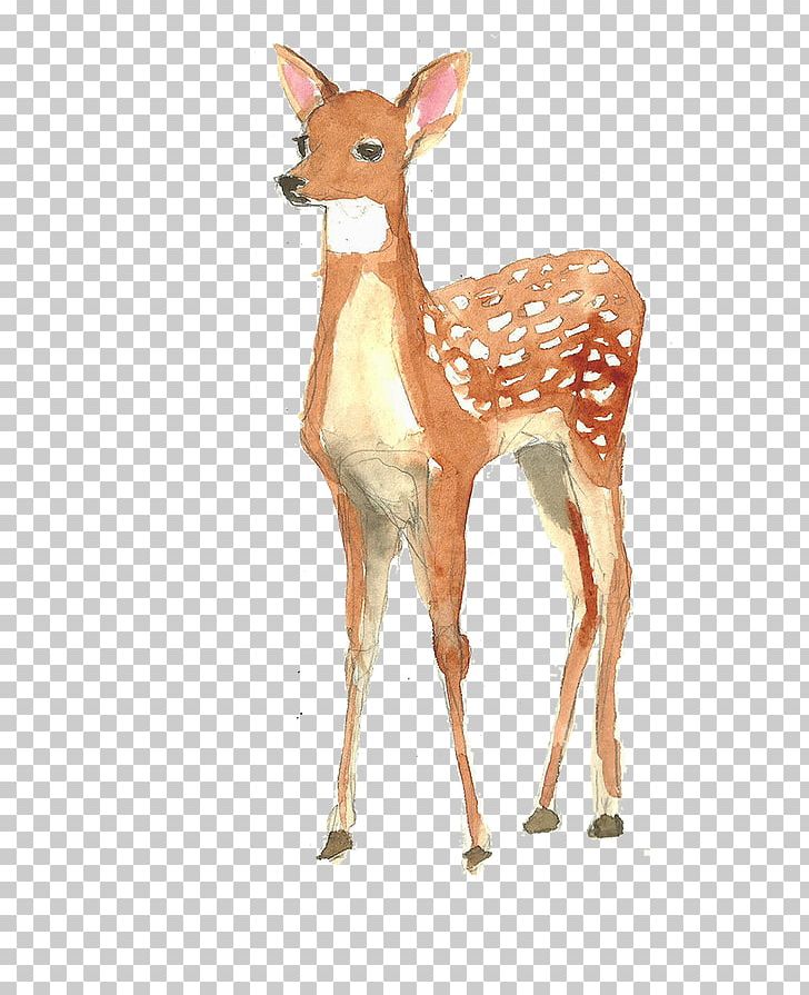 Watercolor Painting Poster Illustration PNG, Clipart, Animals, Canva, Christmas Deer, Deer, Deer Antlers Free PNG Download