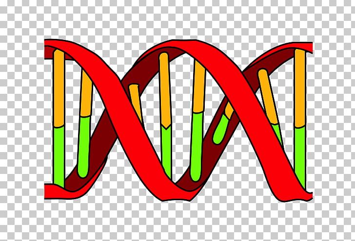 DNA Replication DNA Polymerase Nucleic Acid Double Helix PNG, Clipart, Area, Cell, Dna, Dna Polymerase, Dna Polymerase I Free PNG Download