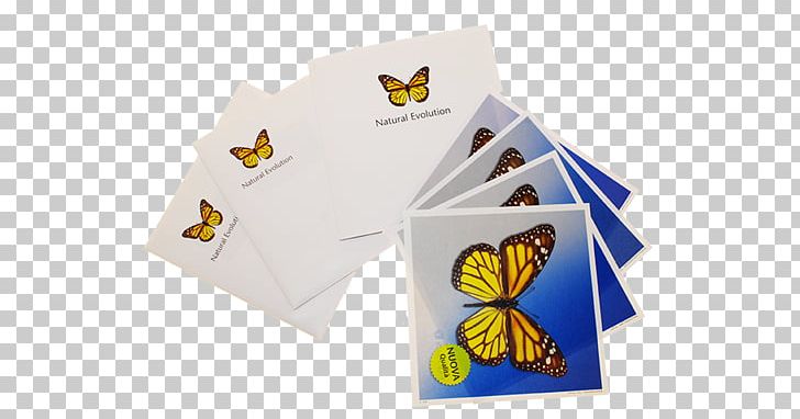 Paper Butterfly Brand 2M PNG, Clipart, Brand, Butterflies And Moths, Butterfly, Farfalle, Insects Free PNG Download