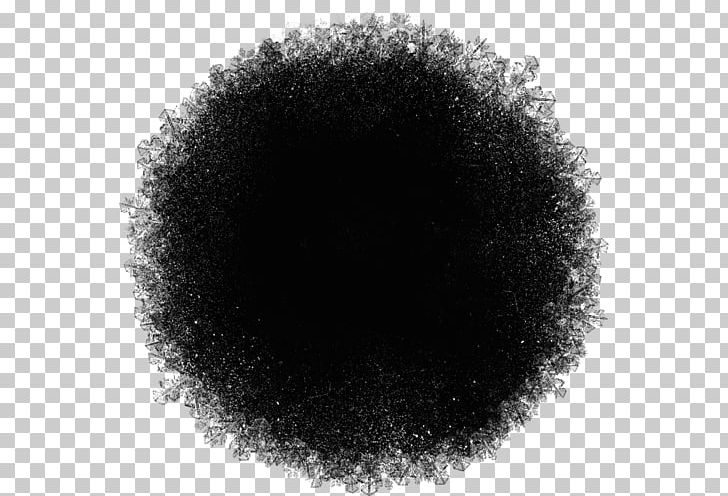 Photography Black And White PNG, Clipart, Black, Black And White, Christmas, Circle, Email Free PNG Download