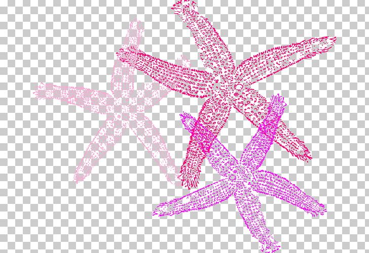Starfish Invertebrate PNG, Clipart, Animal, Animals, Blue, Color, Echinoderm Free PNG Download