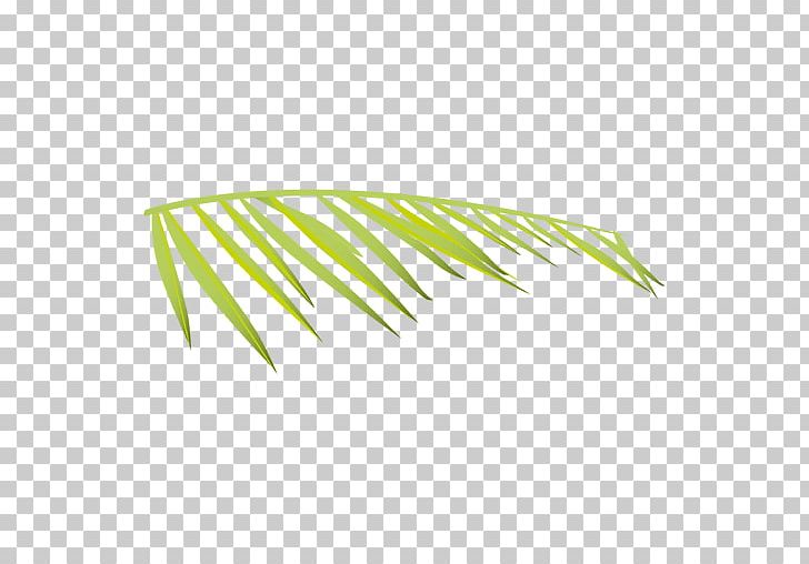 Vexel PNG, Clipart, Alta, Angle, Arecaceae, Encapsulated Postscript, Fern Free PNG Download