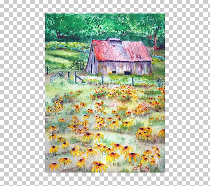 Watercolor Painting Barn Black Eyed Susan Acrylic Paint Png