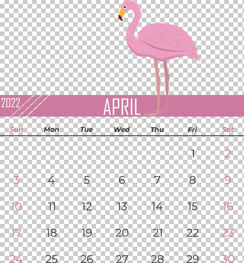 Flamingo PNG, Clipart, Beak, Biology, Birds, Calendar, Flamingo Free PNG Download