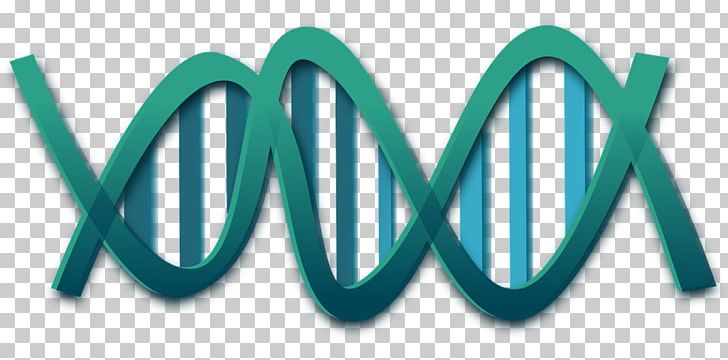 DNA Nucleic Acid Double Helix Genetics PNG, Clipart, Aqua, Brand, Computer Icons, Cushman Wakefield, Dna Free PNG Download