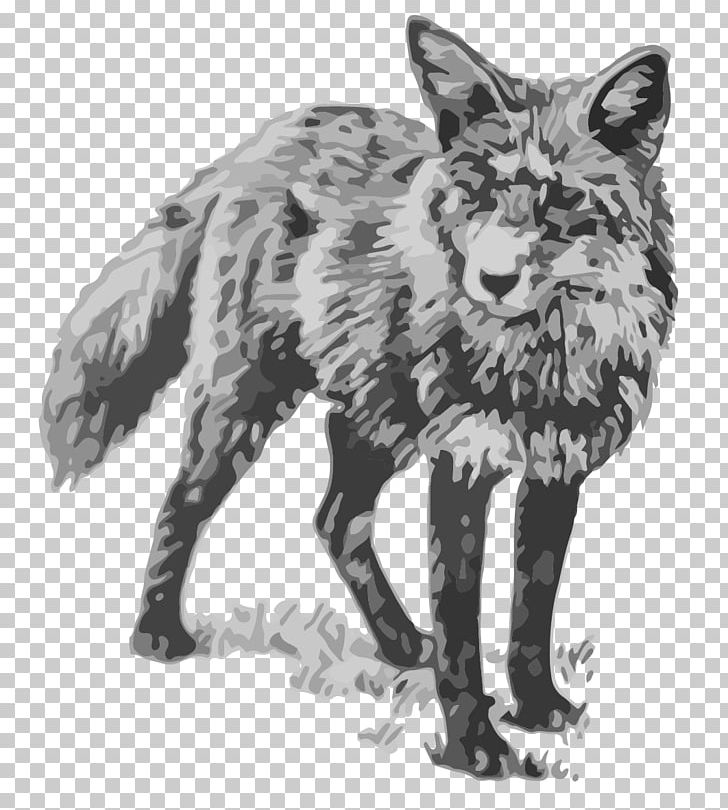 Red Fox Coyote Gray Wolf Jackal Vulpini PNG, Clipart, Black And White, Carnivoran, Coyote, Dog Like Mammal, Drawing Free PNG Download