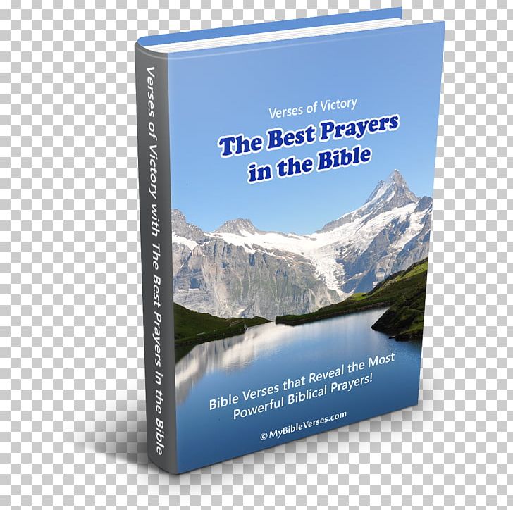 Bible Praying God's Word Book God's Word Translation Prayer PNG, Clipart,  Free PNG Download