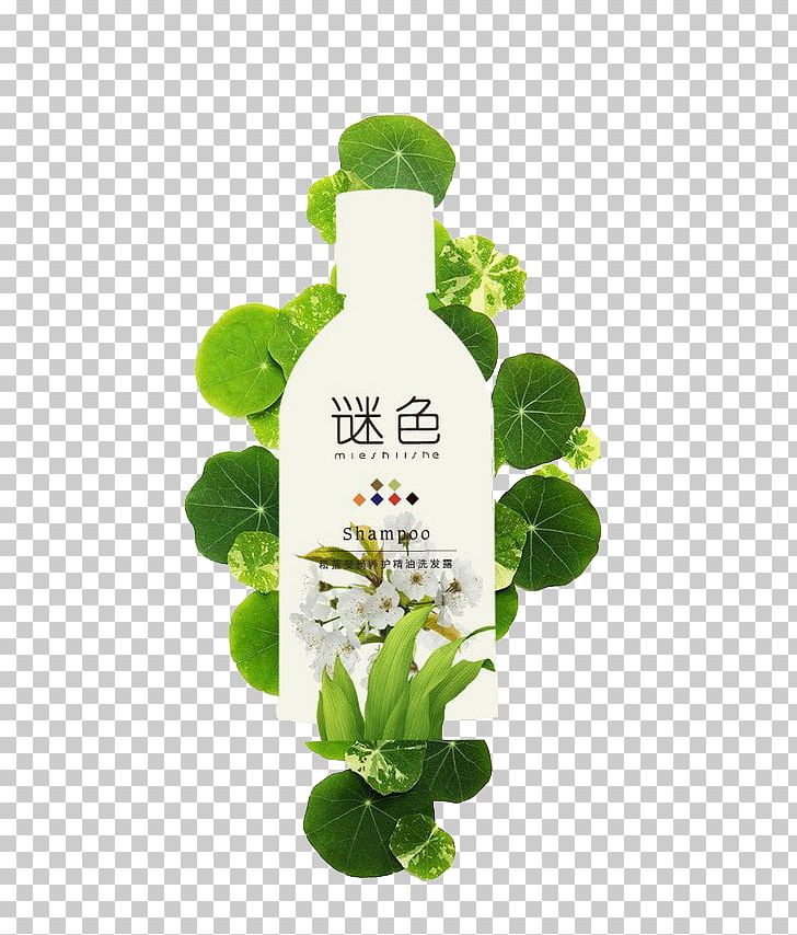 Bottle Shampoo Hair Conditioner Plant PNG, Clipart, Baby Shampoo, Bottle, Conditioner, Cosmetics, Designer Free PNG Download