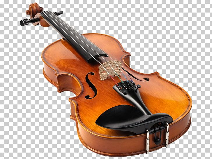 Violin Technique Viola Stock Photography PNG, Clipart, Bass Violin, Bowed String Instrument, Cellist, Cello, Fiddle Free PNG Download