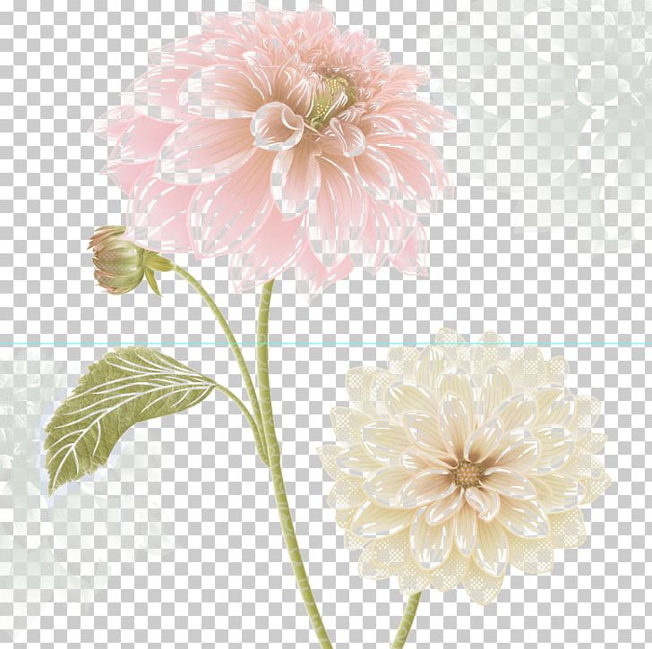 Dahlia Moutan Peony PNG, Clipart, Artworks, Blossom, Chrysanths, Cut Flowers, Daisy Family Free PNG Download