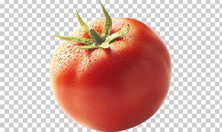 Plum Tomato Bush Tomato Food Garnish PNG, Clipart, Bush Tomato, Cherry Tomato, Diet, Diet Food, Fruit Free PNG Download