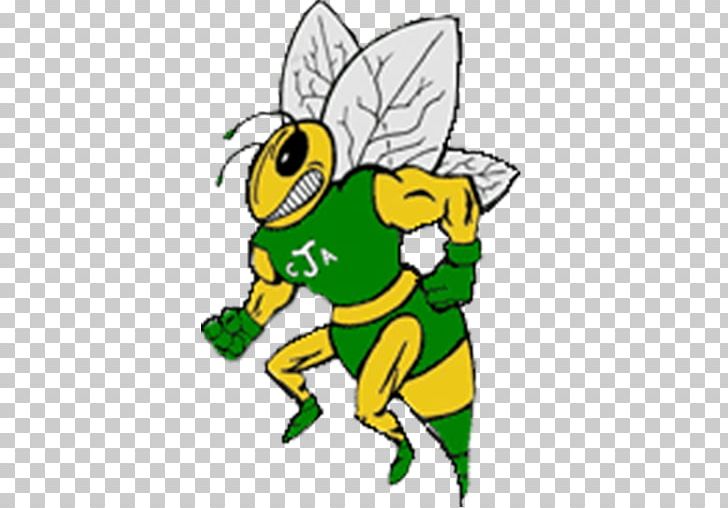 Charlotte Hornets National Secondary School Junior Varsity Team Insect PNG, Clipart, Animal Figure, Area, Art, Artwork, Basketball Free PNG Download