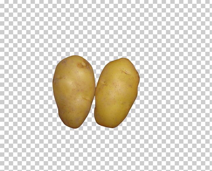 Russet Burbank Yukon Gold Potato Mashed Potato French Fries Sweet Potato PNG, Clipart, Cartoon Potato Chips, Food, French Fries, Fried Potato, Fried Potatoes Free PNG Download