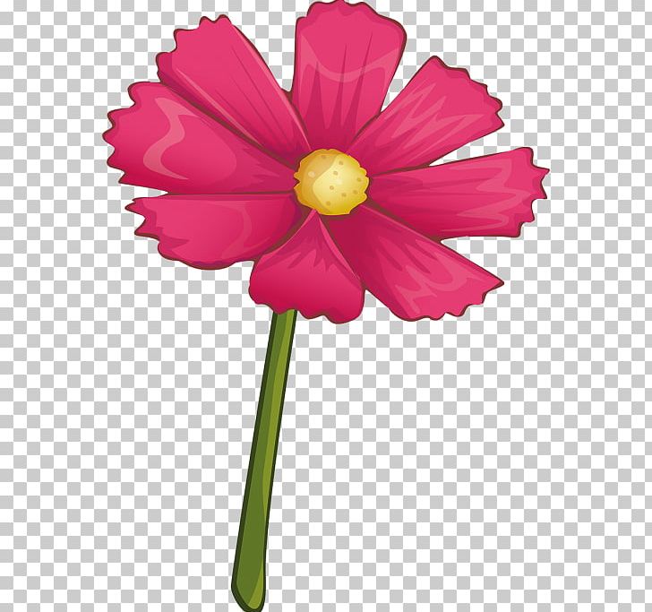 Cut Flowers Plant Stem Magenta Petal PNG, Clipart, Cosmos, Cut Flowers, Flora, Flower, Flowering Plant Free PNG Download