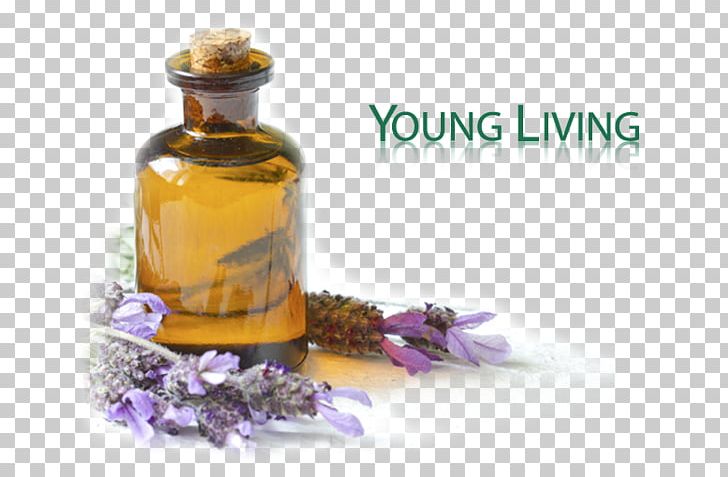 Essential Oil Health Cure Lavender Oil PNG, Clipart, Cure, Doterra, Essential Oil, Flower, Frankincense Free PNG Download