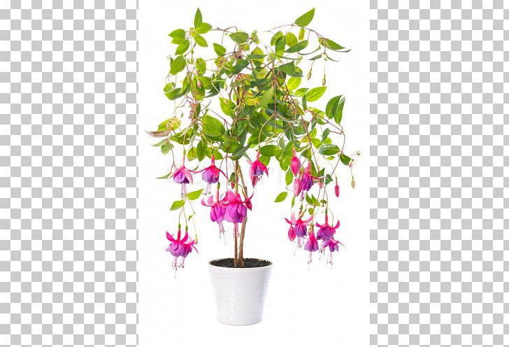 Houseplant Flowerpot Crock PNG, Clipart, Artificial Flower, Bonsai, Branch, Crock, Cut Flowers Free PNG Download