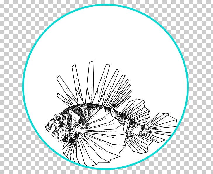 Invertebrate Drawing Line Art Material PNG, Clipart, Artwork, Black And White, Body Jewellery, Body Jewelry, Circle Free PNG Download