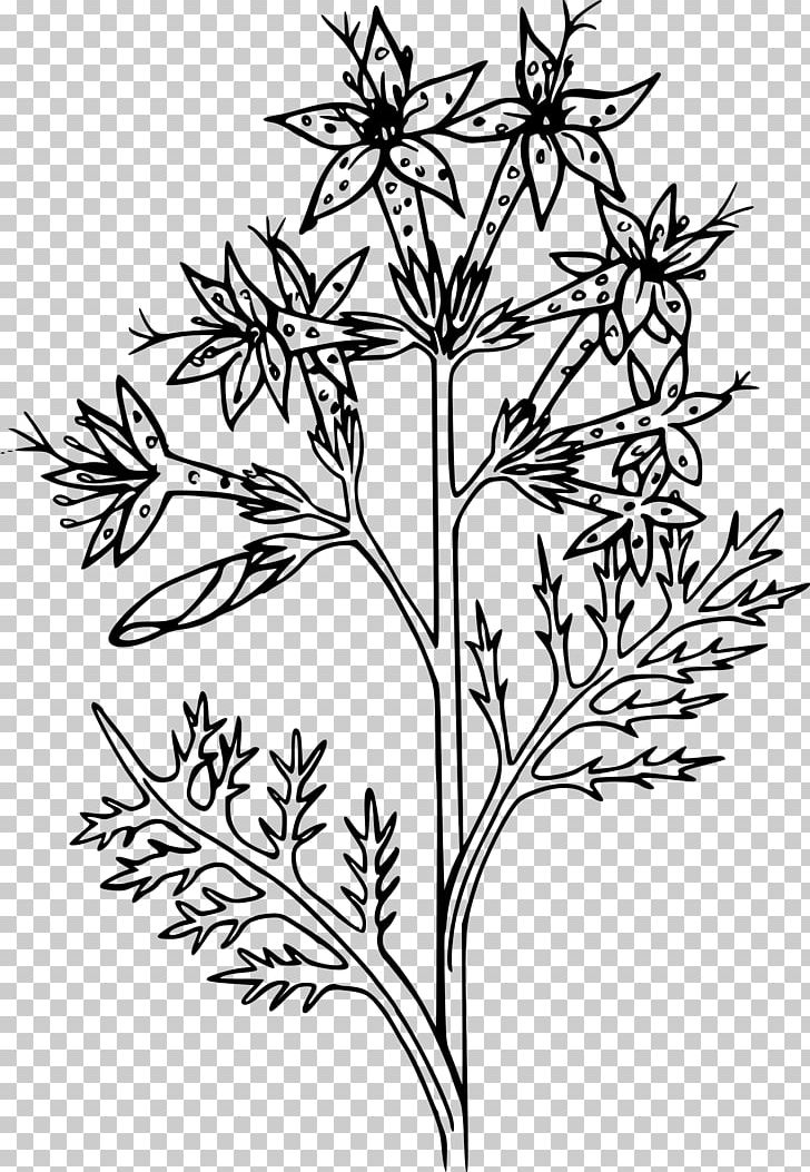 Poinsettia Coloring Book Christmas Flower Child PNG, Clipart, Branch, Child, Christmas, Christmas Ornament, Color Free PNG Download
