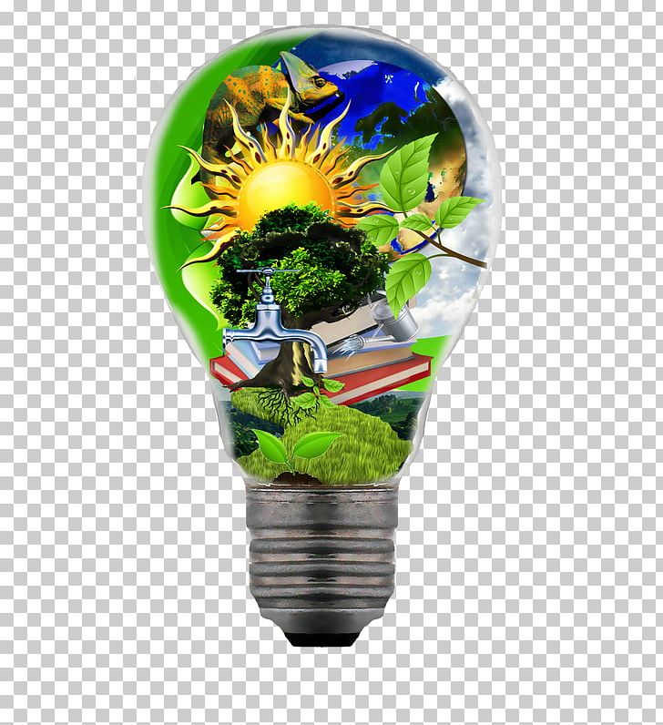 Searchlight Flowerpot Incandescent Light Bulb Plant PNG, Clipart, Deforestation, Flowerpot, Incandescent Light Bulb, Lamp, Light Free PNG Download