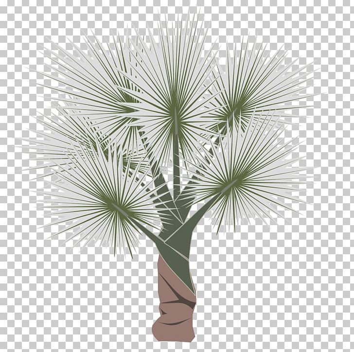 Arecaceae Computer Icons PNG, Clipart, Arecaceae, Arecales, Borassus Flabellifer, Branch, Computer Icons Free PNG Download