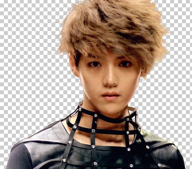 EXO-M HISTORY Wolf Lu Han PNG, Clipart, Animals, Brown Hair, Chanyeol, Exo, Exom Free PNG Download