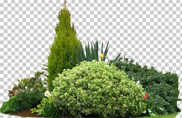 Autodesk Revit Shrub Information PNG, Clipart, Autodesk, Autodesk Revit, Biome, Building Information Modeling, Computeraided Design Free PNG Download
