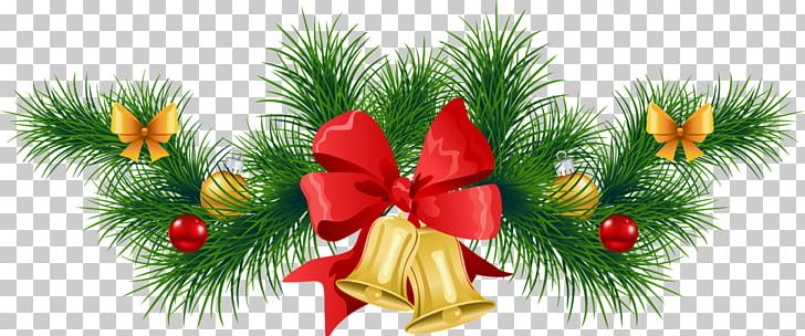 Christmas Ornament Christmas Decoration PNG, Clipart, Branch, Chr, Christmas, Christmas Decoration, Christmas Ornament Free PNG Download