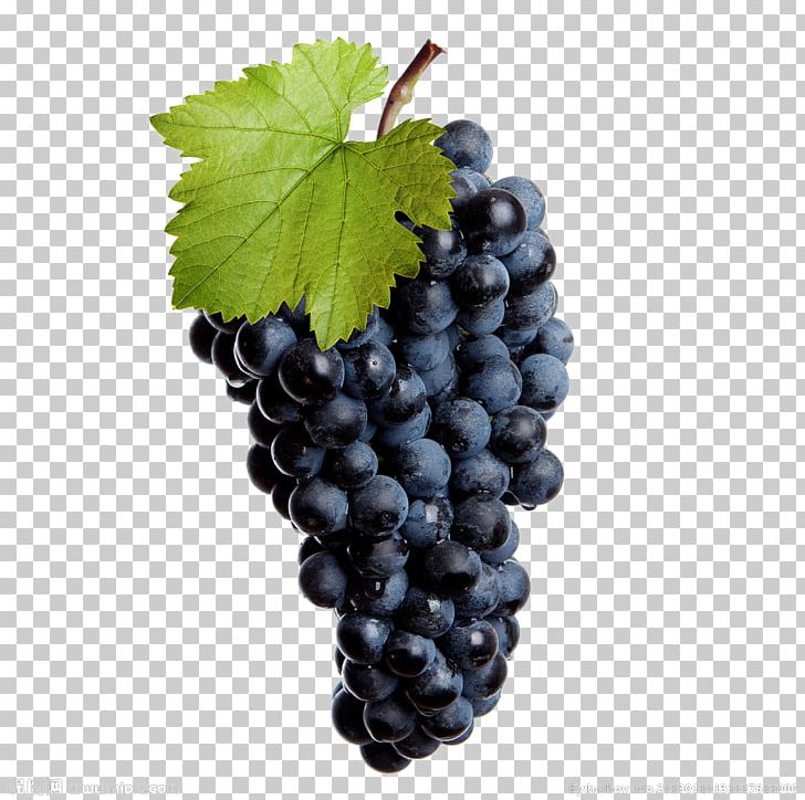 Common Grape Vine Wine Isabella Stock Photography PNG, Clipart, Berry, Black, Black Background, Black Board, Black Friday Free PNG Download