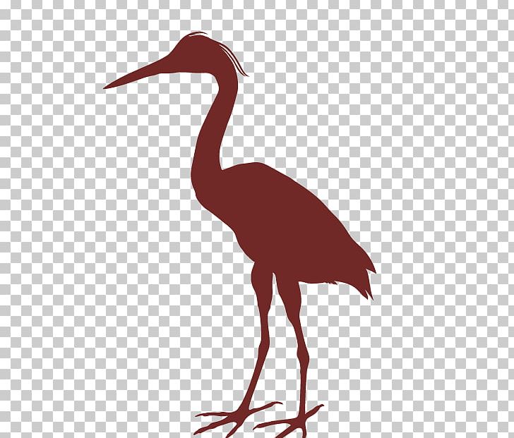 Great Blue Heron Bird PNG, Clipart, Animals, Beak, Bird, Bird Bird, Ciconiiformes Free PNG Download